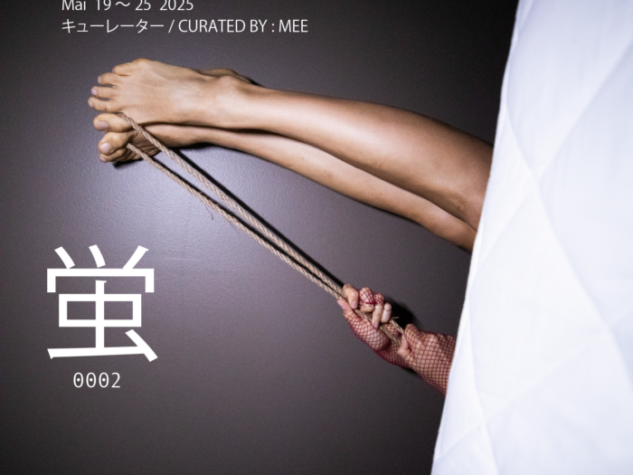 Poster FF 0002 Japan Edition 2025